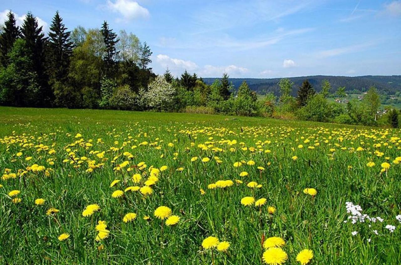 Pension Wiesengrund 뉴쇼나우 외부 사진